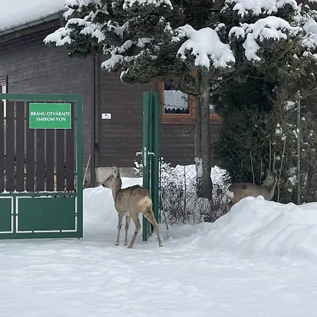 Salvius Dovolenkový dom *