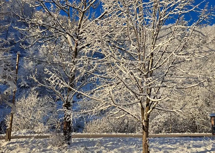 בית נופש Salvius טרצ'ובה