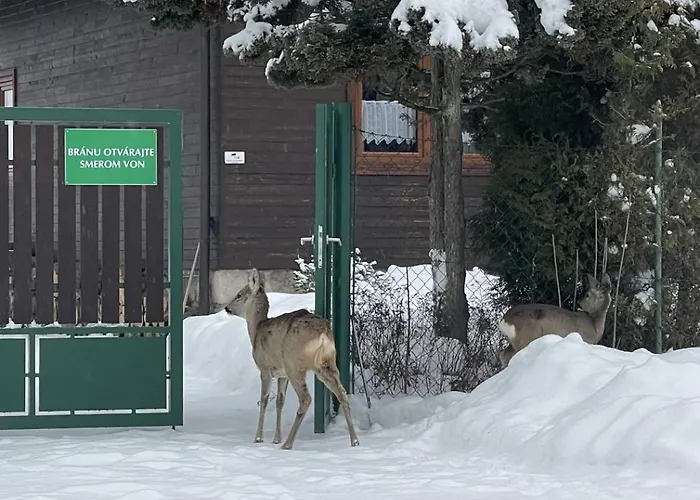 Salvius בית נופש *